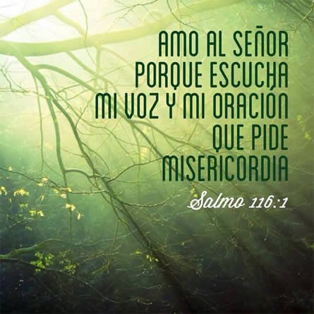  Imagenes De Salmos 116:1 